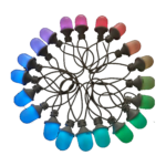 بلوطی-۲۰۱۰۱۰۰